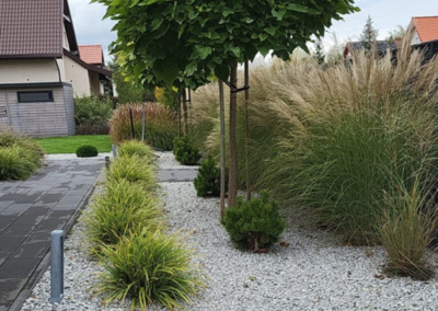 nowoczesny ogród przy domu jednorodzinnym po 2 latach trawy miskanty Tomaszek Ogrody Toruń