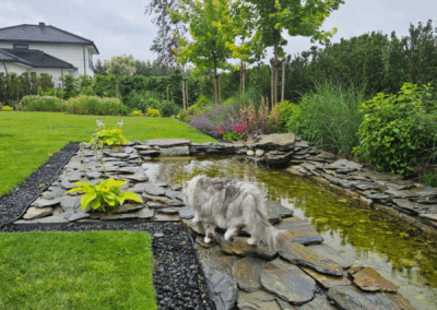 ogród po 3 latach od aranżacji Tomaszek Ogrody Toruń