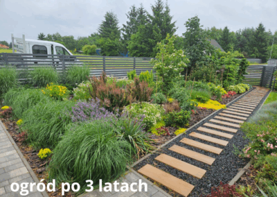 ogród po 3 latach od aranżacji Tomaszek Ogrody Toruń