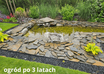 ogród po 3 latach od aranżacji Tomaszek Ogrody Toruń