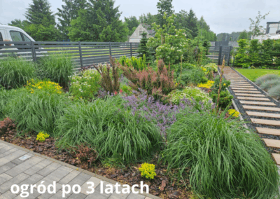 ogród po 3 latach od aranżacji Tomaszek Ogrody Toruń