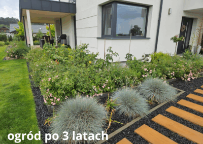 ogród po 3 latach od aranżacji Tomaszek Ogrody Toruń