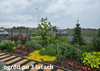 ogród po 3 latach od aranżacji Tomaszek Ogrody Toruń