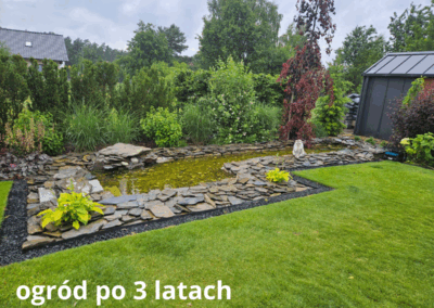 ogród po 3 latach od aranżacji Tomaszek Ogrody Toruń
