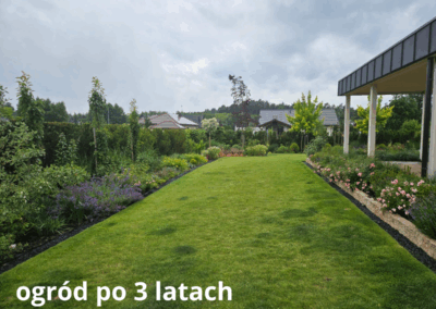 ogród po 3 latach od aranżacji Tomaszek Ogrody Toruń