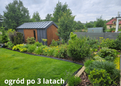 ogród po 3 latach od aranżacji Tomaszek Ogrody Toruń