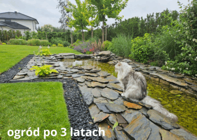 ogród po 3 latach od aranżacji Tomaszek Ogrody Toruń