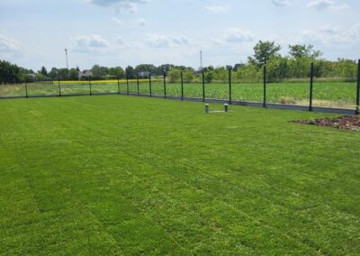 ogród przy domu jednorodzinnym trawnik z rolki Tomaszek Ogrody Toruń