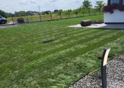 ogród przy domu jednorodzinnym trawnik z rolki Tomaszek Ogrody Toruń