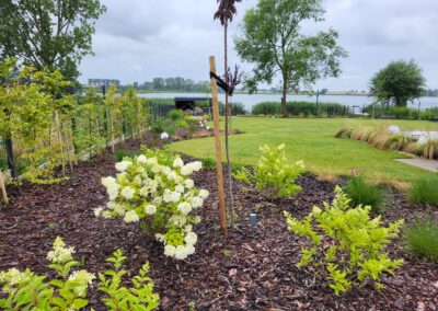 aranżacja ogrodu po roku Tomaszek Ogrody Toruń
