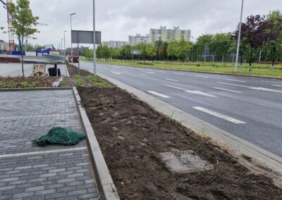 teren zielony przy biurowcu kwietnik krzewy róże rabaty aranżacja terenu Tomaszek Ogrody Toruń