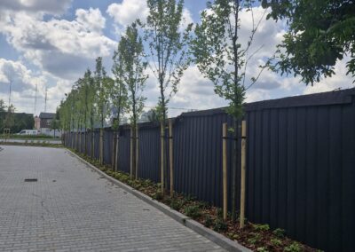 teren zielony przy biurowcu kwietnik krzewy róże rabaty aranżacja terenu Tomaszek Ogrody Toruń