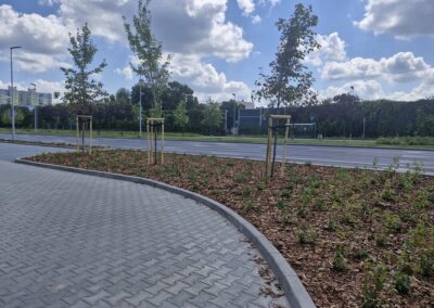 teren zielony przy biurowcu kwietnik krzewy róże rabaty aranżacja terenu Tomaszek Ogrody Toruń