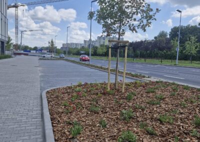 teren zielony przy biurowcu kwietnik krzewy róże rabaty aranżacja terenu Tomaszek Ogrody Toruń