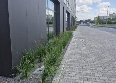 teren zielony przy biurowcu kwietnik krzewy róże rabaty aranżacja terenu Tomaszek Ogrody Toruń