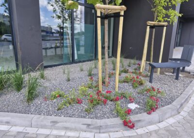 teren zielony przy biurowcu kwietnik krzewy róże rabaty aranżacja terenu Tomaszek Ogrody Toruń