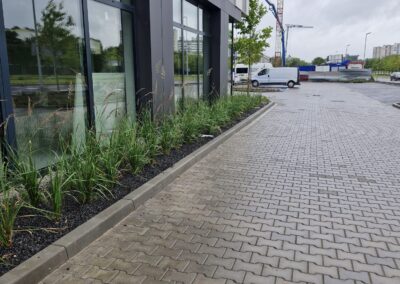 teren zielony przy biurowcu kwietnik krzewy róże rabaty aranżacja terenu Tomaszek Ogrody Toruń