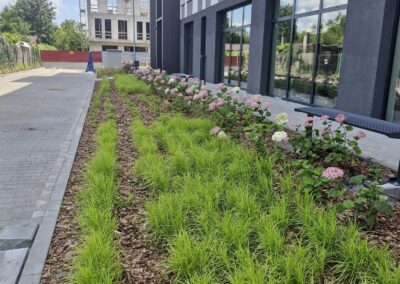 teren zielony przy biurowcu kwietnik krzewy róże rabaty aranżacja terenu Tomaszek Ogrody Toruń