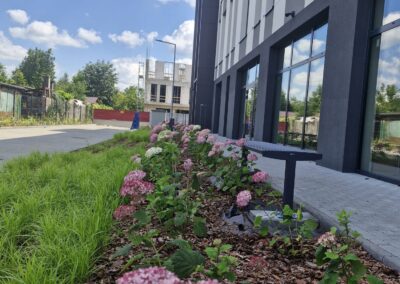 teren zielony przy biurowcu kwietnik krzewy róże rabaty aranżacja terenu Tomaszek Ogrody Toruń