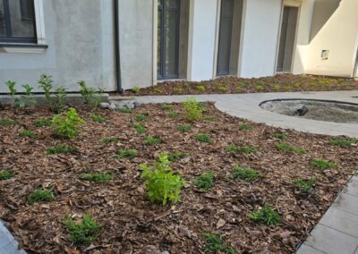 rewitalizacja podwórka na starówce Toruń moje podwórko Tomaszek Ogrody Toruń