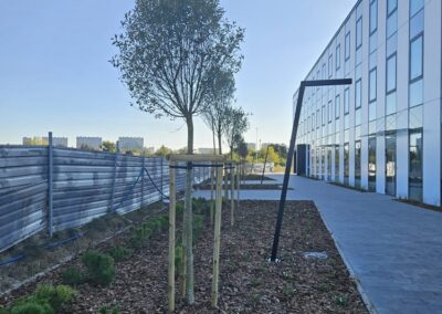 uporządkowanie terenów zielonych przy nowoczesnym biurowcu zastępcze nasadzenia drzew Tomaszek Ogrody Toruń