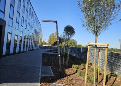 uporządkowanie terenów zielonych przy nowoczesnym biurowcu zastępcze nasadzenia drzew Tomaszek Ogrody Toruń