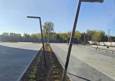 uporządkowanie terenów zielonych przy nowoczesnym biurowcu zastępcze nasadzenia drzew Tomaszek Ogrody Toruń