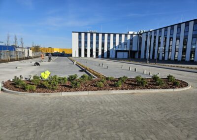 uporządkowanie terenów zielonych przy nowoczesnym biurowcu zastępcze nasadzenia drzew Tomaszek Ogrody Toruń