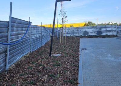 uporządkowanie terenów zielonych przy nowoczesnym biurowcu zastępcze nasadzenia drzew Tomaszek Ogrody Toruń