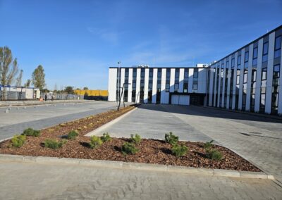 uporządkowanie terenów zielonych przy nowoczesnym biurowcu zastępcze nasadzenia drzew Tomaszek Ogrody Toruń