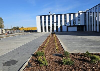 uporządkowanie terenów zielonych przy nowoczesnym biurowcu zastępcze nasadzenia drzew Tomaszek Ogrody Toruń