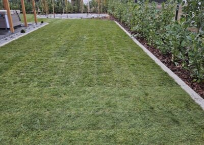 projekt ogrodu aranżacja ogrodu ogrody Toruń Tomaszek Ogrody