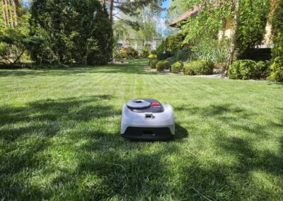 trawnik z rolki robot koszący Segway kosiarka automatyczna Tomaszek Ogrody Toruń Brzozówka