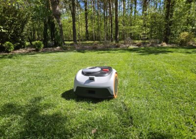 trawnik z rolki robot koszący Segway kosiarka automatyczna Tomaszek Ogrody Toruń Brzozówka
