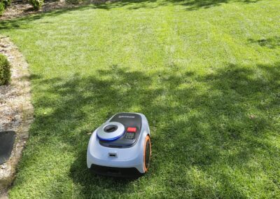 trawnik z rolki robot koszący Segway kosiarka automatyczna Tomaszek Ogrody Toruń Brzozówka